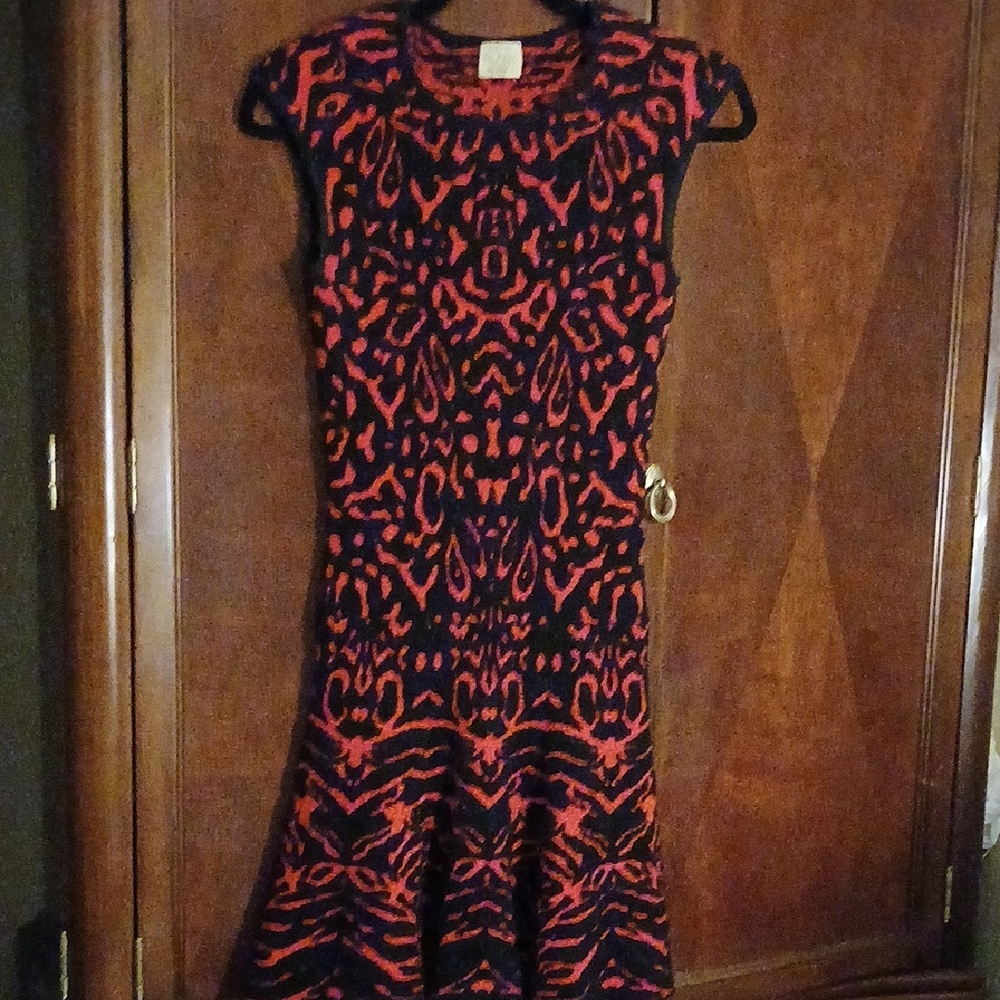 Torn by Ronny Kobo Red and Black Mini Dress